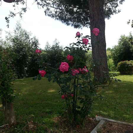 Bed and Breakfast La Finestra Sul Cortile Pomezia Exterior foto